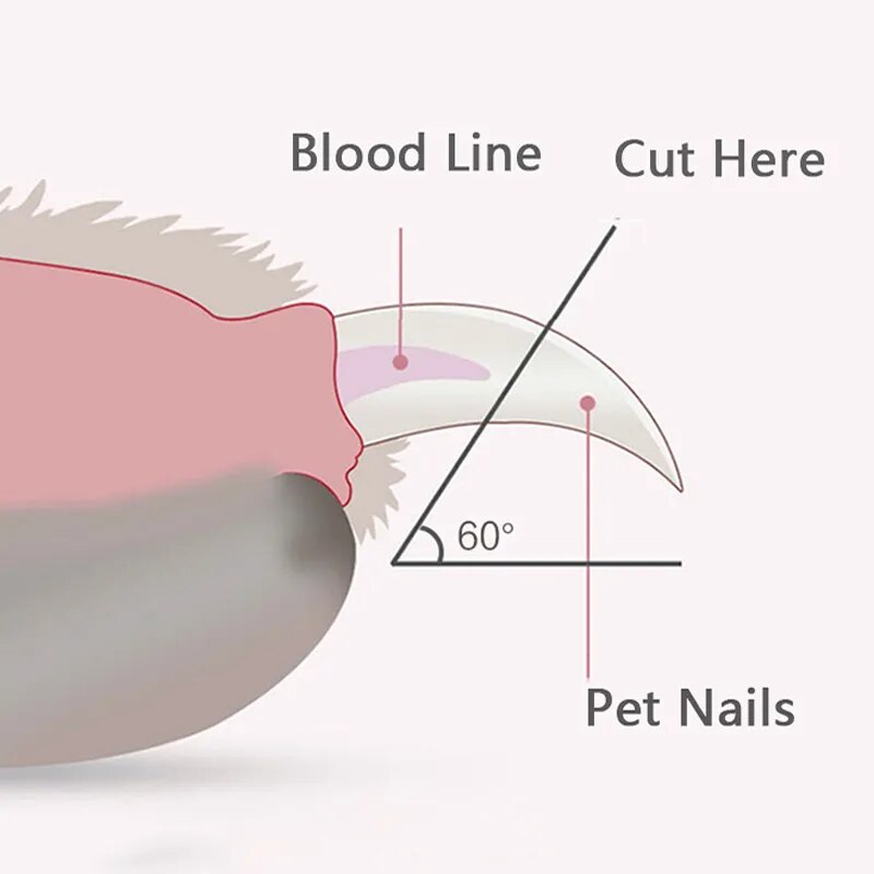 Nzmartys Precision Dog Nail Clippers