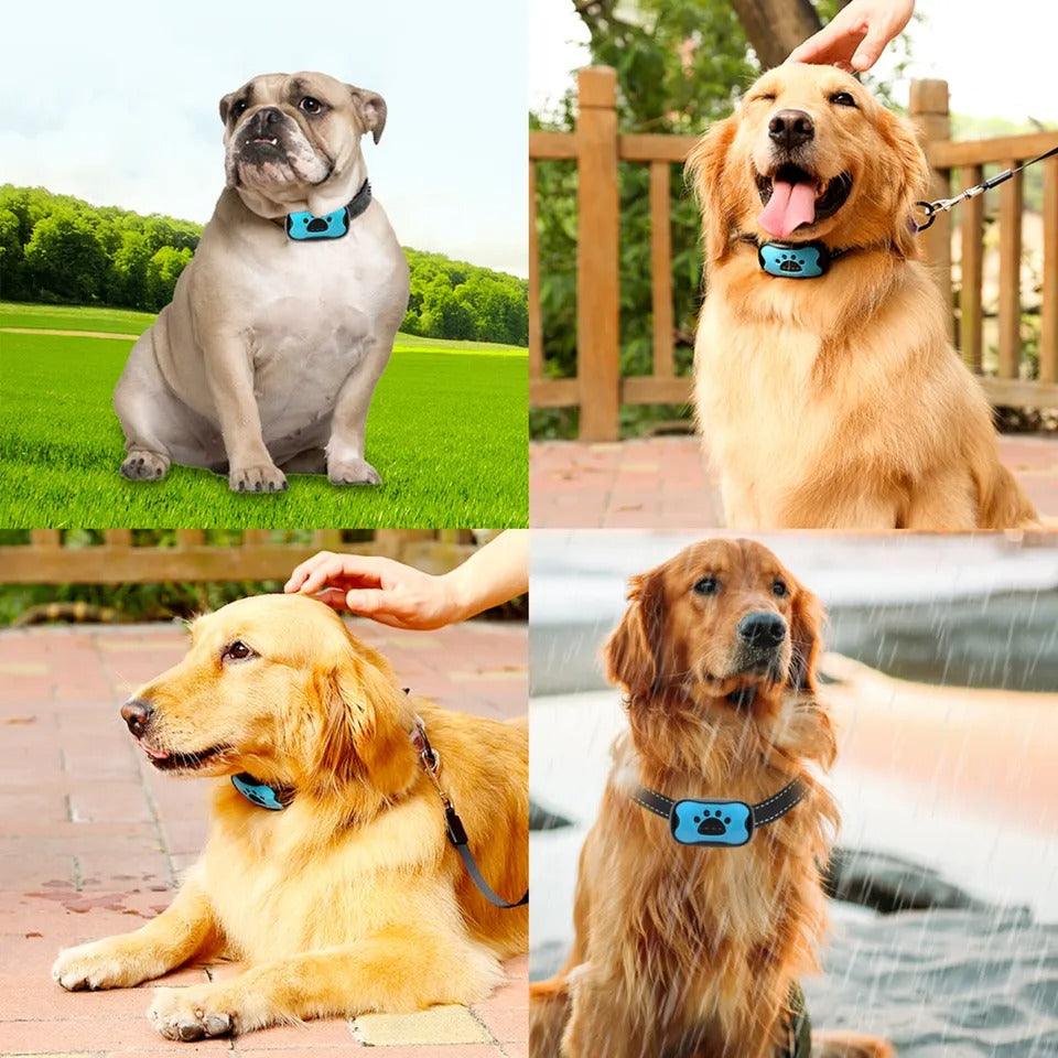 Nzmartys Anti-Bark Dog Collar