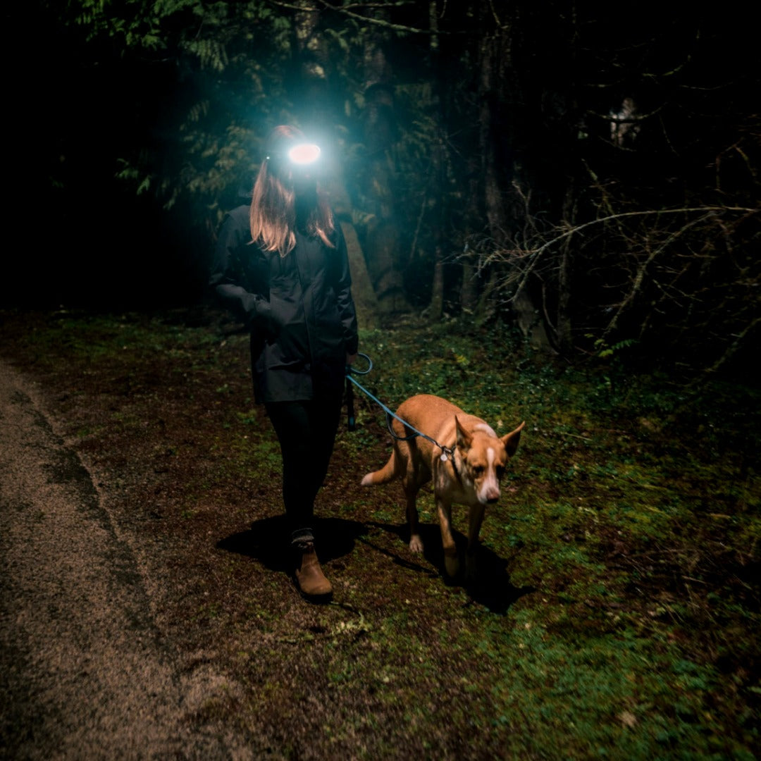 Nzmartys 230° Headlamp